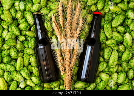 Glas Flaschen Bier, grüne Kegel von Hopfen und Weizen Korn Ansicht von oben Stockfoto