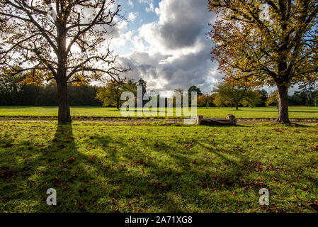 Champs-sur-Marne, Frankreich - Oktober 6, 2019: Rustikale Bank und Blick auf sinkende Sonne in einem Park mit Bäumen Lager Herbst Laub, in einem formellen französischen ga genommen Stockfoto