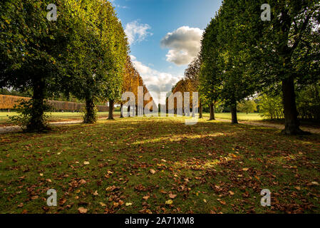 Champs-sur-Marne, Frankreich - Oktober 6, 2019: Geradlinige garten Gasse mit Linden bilden gerade Kanten mit einigen der Bäume mit Herbst co Stockfoto