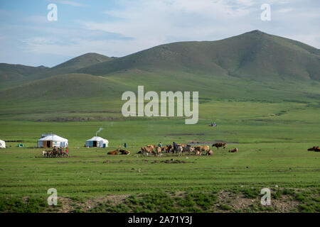 Unglaubliche Mongolian-Manchurian Grasland Stockfoto
