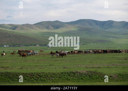 Unglaubliche Mongolian-Manchurian Grasland Stockfoto