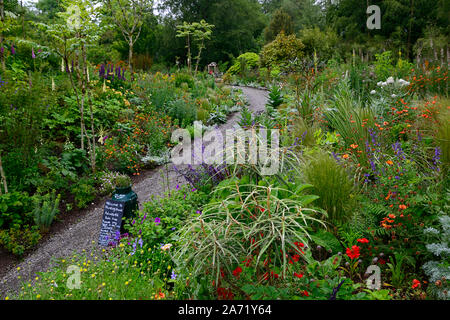 Jagd Bach Gärten, Wicklow, Irland, Jimi Blake, Plantsman, Garten, Gärten, gemischte Bepflanzung, zarte Stauden, Stauden, bett, betten, Grenze, Grenzen, mi Stockfoto