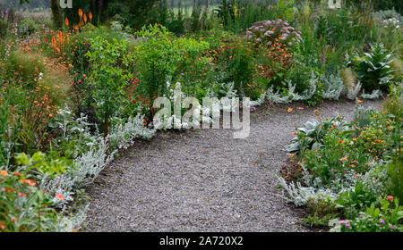 Weg, gesäumt mit, Artemeisia, silber Laub, Jagd Bach Gärten, Wicklow, Irland, Jimi Blake, Plantsman, Garten, Gärten, gemischte Bepflanzung, Ausschreibung, Stockfoto