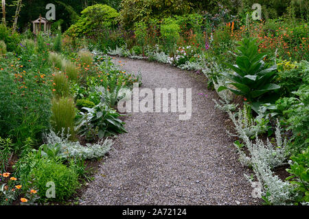 Weg, gesäumt mit, Artemeisia, silber Laub, Jagd Bach Gärten, Wicklow, Irland, Jimi Blake, Plantsman, Garten, Gärten, gemischte Bepflanzung, Ausschreibung, Stockfoto