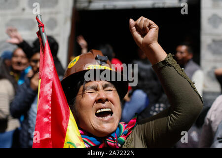 La Paz, Bolivien. 29 Okt, 2019. Inder, die Präsident Morales unterstützen, sind die Teilnahme an einer Kundgebung fordern, dass die Ergebnisse der letzten Präsidentschaftswahl anerkannt werden. Nach der Bekanntgabe der Wahlergebnisse, Präsident Morales, der seit 2006 im Amt gewesen war, wurde mit dem Vorwurf der Wahlmanipulation konfrontiert. Befürworter und Gegner von Morales blockierte Straßen. Dies führte zu einigen Unruhen. Credit: Gaston Brito/dpa/Alamy leben Nachrichten Stockfoto