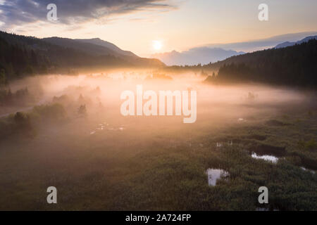 Nebel, die Pflanzen auf Feuchtgebiete und Sümpfe des Pian di Gembro Nature Reserve, Luftaufnahme, Aprica, Valtellina, Lombardei, Italien Stockfoto