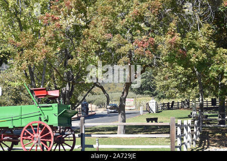 Picknickplatz in einem Apple Orchard Stockfoto