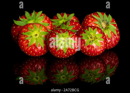 Gruppe von Sieben ganze Frische rote Erdbeere auf schwarzem Glas isoliert Stockfoto