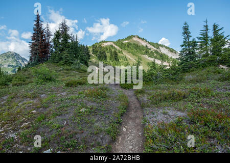 Suche entlang der Strecke, die von Hannegan Hannegan Peak Pass auf, die in der Strecke erscheint. Hier, die meisten der Trail ist oberhalb der Waldgrenze ein Stockfoto