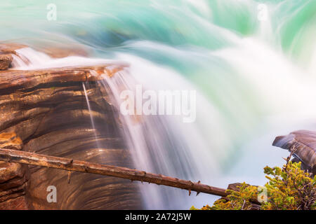 Nahaufnahme der Athabasca Falls im Jasper National Park. Alberta. Kanada Stockfoto