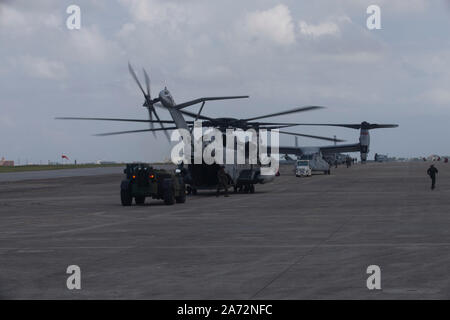 Zwei CH-53E Super Stallion mit Marine schweren Helikopter Squadron 462 nach der Landung auf WAB Futenma. Marine Flugzeuge Gruppe 36 durchführen, um einen raschen Einsatz Übung am Okt. 24, 2019 in Okinawa, Japan und den Indopazifischen Region. Diese Art von realistisches Training wird verwendet, um eine aktive Haltung eines bereit Kraft zu markieren und ist für die Aufrechterhaltung der Betriebsbereitschaft für die Umsetzung unserer Verpflichtungen gegenüber unseren Verbündeten zu verteidigen und die umliegenden Nationen unerlässlich. (U.S. Marine Corps Fotos von Lance Cpl. Madeline Jones) Stockfoto