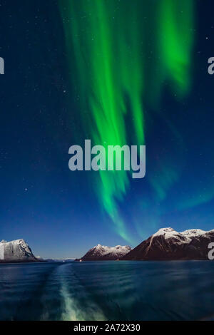 Die Nordlichter aus dem Deck der MS Trollfjord, eine Fähre in der Hurtigruten Flotte. Dies war aus Tromsø segeln in Richtung Norden nach skjervøy. Die w Stockfoto