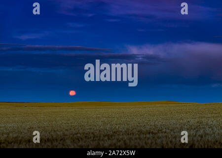 Die Harvest Moon von Freitag, der dreizehnte, im September 2019, das war auch das Apogäum (kleinsten) Vollmond von 2019. Ich habe es geschafft zu risin Stockfoto