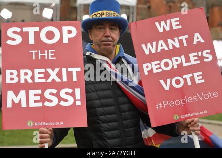Anti-Brexit Aktivist Steve Bray. Stockfoto
