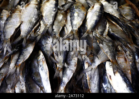 Foto von verschiedenen getrockneten Fisch zum Verkauf an öffentlichen Markt Stockfoto