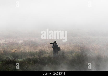 UK Wetter: ein Fotograf sieht für die Tierwelt Bilder während einer frühen misty morning im Zentrum von Richmond Park. London, Großbritannien. Stockfoto
