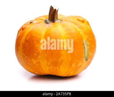 Runde Kürbis auf weißem Hintergrund Stockfoto