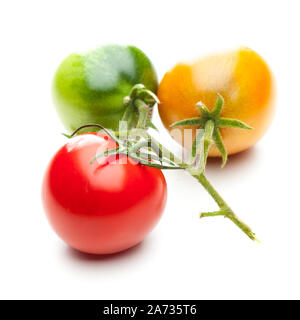 Tomaten in Rot, Grün und Gelb auf weißem Hintergrund Stockfoto