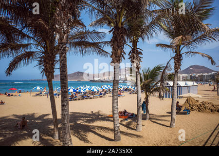 Strand Las Canteras, Las Palmas Gran Canaria Stockfoto