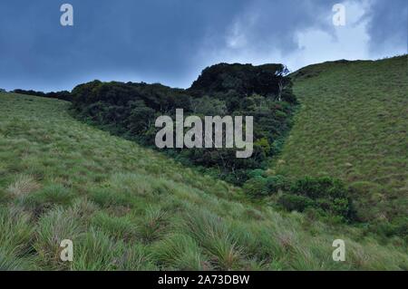 Schönheit der westlichen Ghats - die westlichen Ghats, auch bekannt als Sahyadri (wohlwollende Berge), sind eine Bergkette, die eine Fläche von 140,000 qm. umfasst Stockfoto