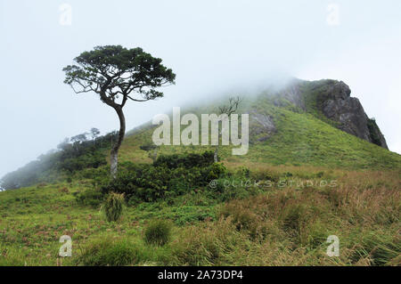 Schönheit der westlichen Ghats - die westlichen Ghats, auch bekannt als Sahyadri (wohlwollende Berge), sind eine Bergkette, die eine Fläche von 140,000 qm. umfasst Stockfoto