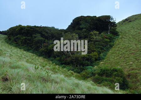 Schönheit der westlichen Ghats - die westlichen Ghats, auch bekannt als Sahyadri (wohlwollende Berge), sind eine Bergkette, die eine Fläche von 140,000 qm. umfasst Stockfoto