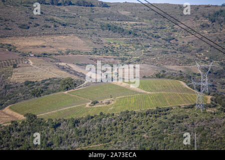 Typische Ansicht der bergigen Ufern des Flusses Douro mit Weinbergen Trauben produziert typische Douro in Portugal Stockfoto