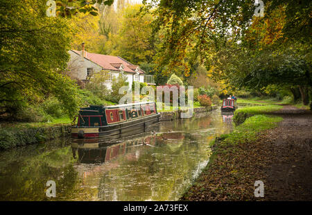 Kennet und Avon, Limpley Stoke, Somerset. 30. Oktober 2019. Leuchtende Herbstfarben haben die Banken des Kennet and Avon Canal, Bergahorn und Buche atemberaubende Farben des goldenen gelb gekennzeichnet, verwandelt. Tagesausflügler genießen die unglaubliche Bedingungen an Bord eines Kanal Boot wie es langsam bewegt es Weg am Wasser entlang der Route zwischen Avoncliff und Badewanne. Credit: Casper Farrell/Alamy leben Nachrichten Stockfoto