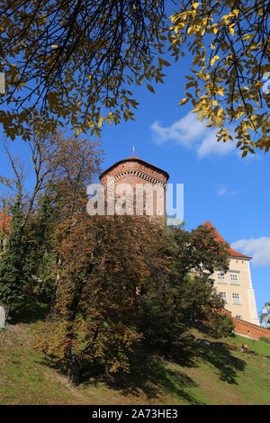 Krakau. Krakau. Polen. Wawel, Königsschloss auf dem Wawel Hill. Senatorska baszta Turm, Teil der Burgbefestigung. Stockfoto