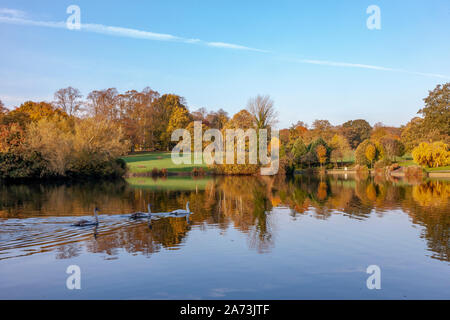 Northampton, Großbritannien. 29. Oktober, 2019 UK Wetter, hellen, sonnigen Morgen in Abington Park im Herbst Farben bis in den frühen Morgen. Keith J Smith./Alamy leben Nachrichten Stockfoto