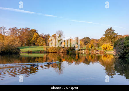 Northampton, Großbritannien. 29. Oktober, 2019 UK Wetter, hellen, sonnigen Morgen in Abington Park im Herbst Farben bis in den frühen Morgen. Keith J Smith./Alamy leben Nachrichten Stockfoto