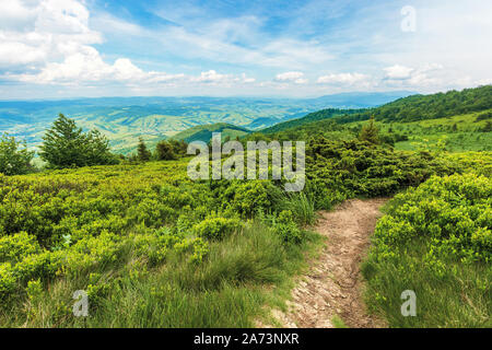 gewundenen Weg durch die großen Wiesen am Hang des Bergrückens Karpaten Stockfoto