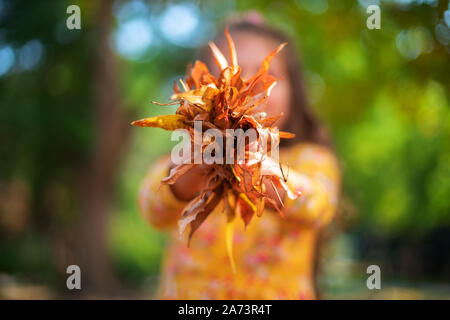 Wenig lächelnde Mädchen spielen mit Blätter im Herbst in einem Sunshine Park Stockfoto