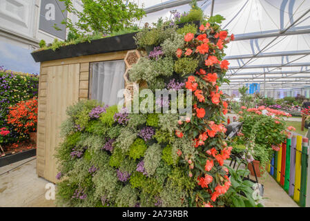 Grüne Wand/vertikale Gartenarbeit Stockfoto