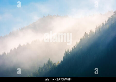 Dicken leuchtenden Nebel unter Fichtenwald im Tal. Wunderbare Natur Hintergrund. Antenne Sicht. typische Landschaft der rumänischen Karpaten mounta Stockfoto