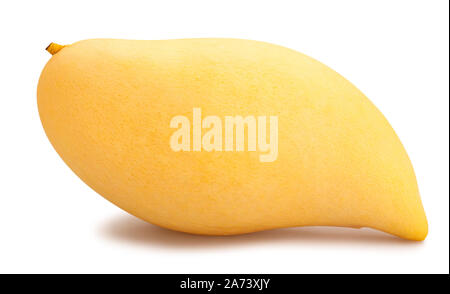 Gelbe mango Pfad isoliert auf weißem Stockfoto