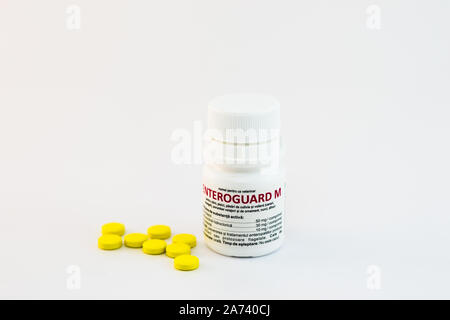 Cluj-Napoca/Rumänien-10 24 2019: Enteroguard Tabletten Stockfoto