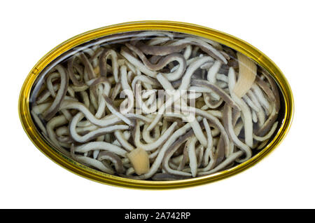 Zinn öffnen können von eingelegtem Aale und Knoblauch mit grünen, niemand. Auf weissem Hintergrund Stockfoto