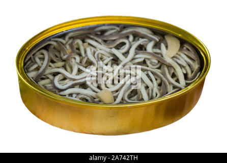 Aal Braten mit Knoblauch in offenen Blechdose. Beliebte und teure Delikatesse. Auf weissem Hintergrund Stockfoto