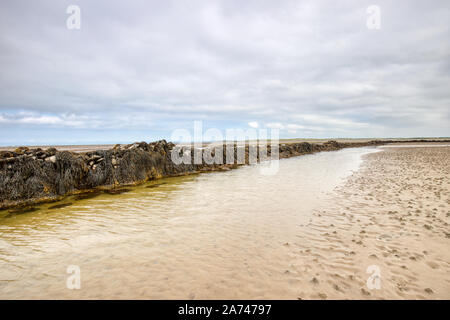 Gorad Strand, Trearddur Bay, Tal, Anglesey, Nordwales Stockfoto