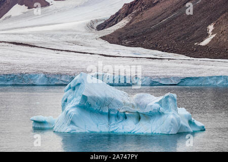 Eisberg am Rande eines Gletschers in Ellesmere Island, Teil der Qikiqtaaluk Region im kanadischen Territorium Nunavut Stockfoto