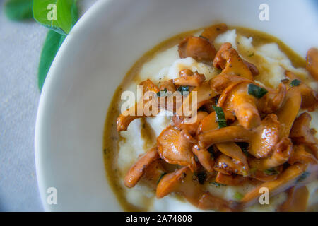 Essen Fotografie von cremiger Polenta mit Pfifferlingen und aprikosensoße Stockfoto