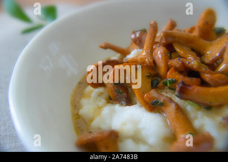 Essen Fotografie von cremiger Polenta mit Pfifferlingen und aprikosensoße Stockfoto