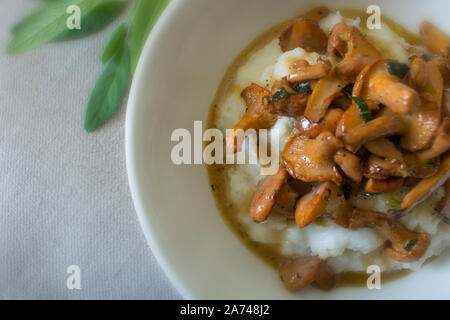 Essen Fotografie von cremiger Polenta mit Pfifferlingen und aprikosensoße Stockfoto