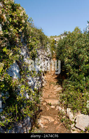 Coastal Path für Cipolliane Höhlen und Ciolo Brücke, Gagliano del Capo, Apulien, Italien Stockfoto