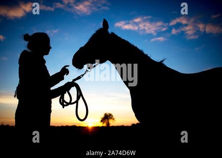 Die Silhouette einer jungen Frau und ihrem Pferd vor dem Abendhimmel in Wardenburg (Deutschland), 10. Juli 2018. | Verwendung weltweit Stockfoto