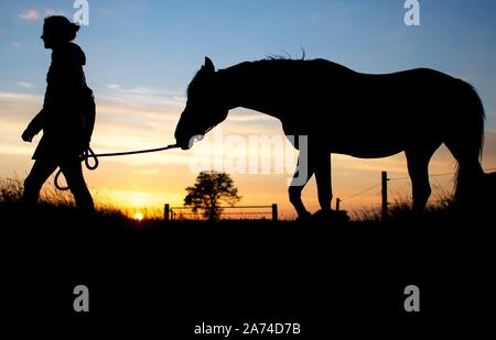 Die Silhouette einer jungen Frau und ihrem Pferd vor dem Abendhimmel in Wardenburg (Deutschland), 10. Juli 2018. | Verwendung weltweit Stockfoto