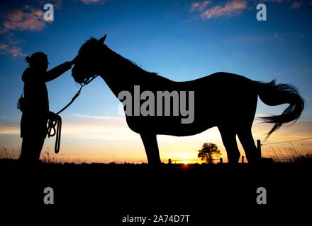 Die Silhouette einer jungen Frau und ihrem Pferd vor dem Abendhimmel in Wardenburg (Deutschland), 10. Juli 2018. | Verwendung weltweit Stockfoto