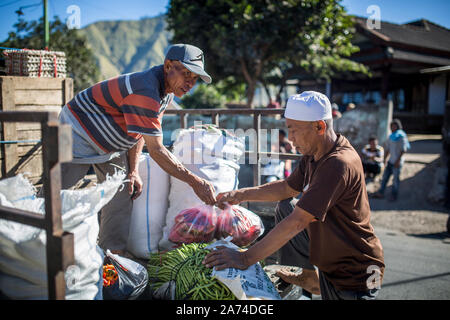 SEMBALUN LAWANG, Indonesien - 26. AUGUST 2017: Lokale Mitarbeiter arbeiten bei den traditionellen Markt in Sembalun Lawang. Stockfoto