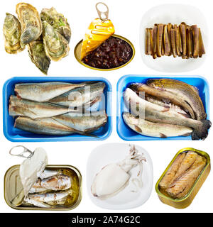 Einstellen der sortierten Fische und Meeresfrüchte. Roh- und Halbfertigerzeugnisse Stockfoto